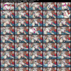 Siswet19 Chaturbate Grab Pack 4 thumbnail