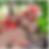 Pixxx/ANIME Pixxx/2011/11 November