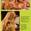 Swedish Erotica thumbnail