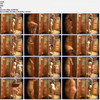 ShowerSpyCameras-Apr14-Jul14 thumbnail