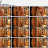 ShowerSpyCameras-Apr14-Jul14 thumbnail