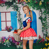 ShowyBeauty.com 2018-03-19 Flower - Dream House thumbnail
