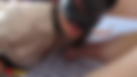 cat/1.mp4