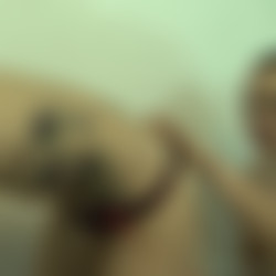 iwciym39