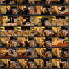 GirlsDoPorn thumbnail