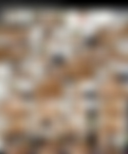Athena Faris MegaPack/Screenshots - Thumbnails/brattysis.18.10.12.athena.faris.and.whitney.wright.mormon.boys.jpeg