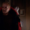 Malcolm.in.the.Middle.S03.1080p.Disney+.WEB-DL.DDP.5.1.H.264-CHDWEB thumbnail