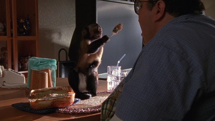 Malcolm.in.the.Middle.S03.1080p.Disney+.WEB-DL.DDP.5.1.H.264-CHDWEB/Malcolm.in.the.Middle.S03E22.Monkey.1080p.Disney+.WEB-DL.DDP.5.1.H.264-CHDWEB.mkv