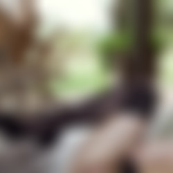 Taylor Sands - Cumshot Compilation - 1080p.mp4